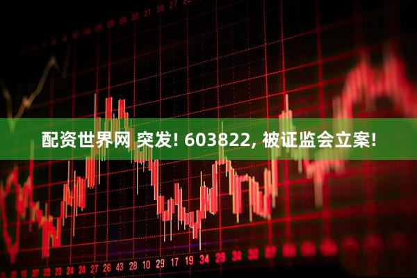 配资世界网 突发! 603822, 被证监会立案!