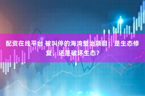 配资在线平台 被叫停的海湾整治项目：是生态修复，还是破坏生态？